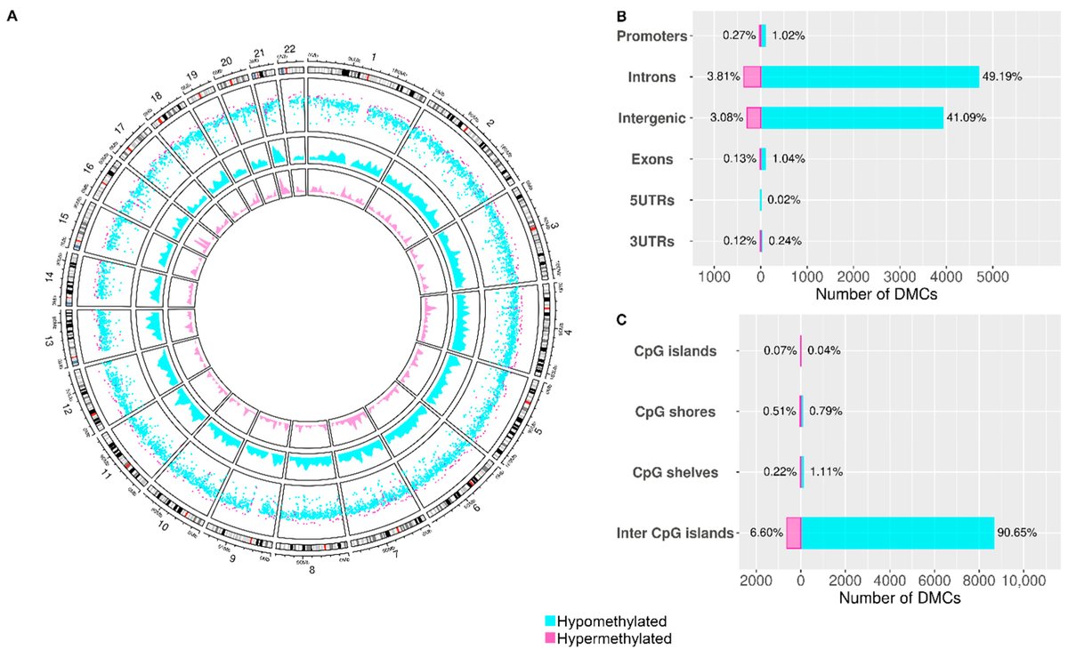 📢Check out #Article "DNA Methylation Signature in Mononuclear Cells and Proinflammatory Cytokines May Define Molecular Subtypes in Sporadic Meniere Disease"
🔍:mdpi.com/2227-9059/9/11…