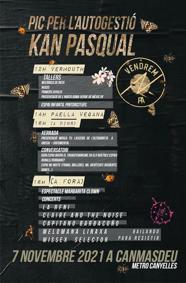 Can Masdeu tweet media