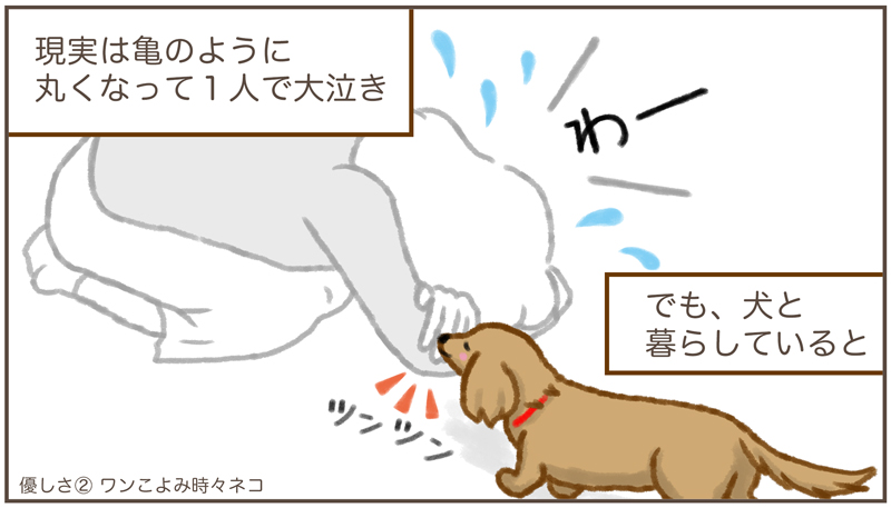 ワンこよみ時々ネコ 21年11月3日は 文化の日 まんがの日 まんがの日なので 愛犬の思い出漫画です 優しさ うち の子 優しい 超親バカ まんがの日 イケワン 漫画 かな イラスト 愛犬 可愛い T Co Jier8amrgk Twitter