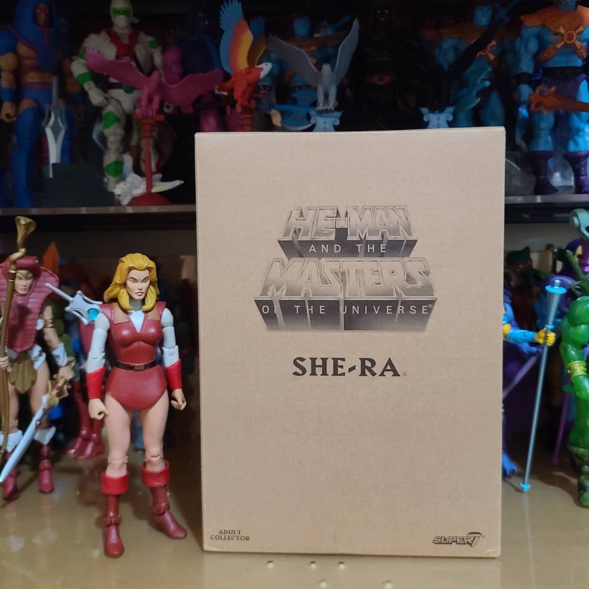 dadastoys's tweet photo. Got a second Super7 She-Ra to eventually open.  Have the first one I bought on the top of the shelf with piles of other toys on top lol.

#sheraandtheprincessesofpower #sheraprincessofpower #shera #super7 #super7shera #adora #princessadora #motu #mastersoftheuniverse https://t.co/x56bNhyHv5