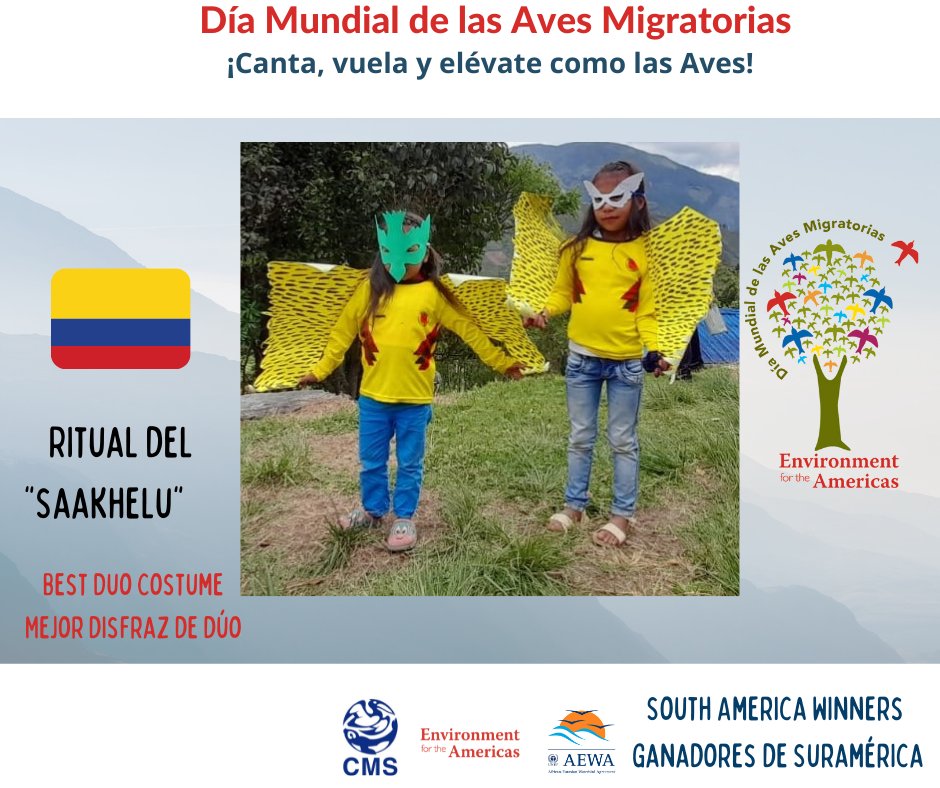 enviroamericas's tweet photo. ¡Les presentamos a los ganadores especiales!
1) El Bartramia longicauda más auténtico
2) El Thalasseus maximus más creativo
3) El ritual de Saakhel, el mejor disfraz en pareja
4) La Setophaga petechia más creativa
#WMBD2021 #WorldMigratoryBirdDay #SingFlySoar #LikeABird #DMAM2021 https://t.co/yTrKWeyfpV