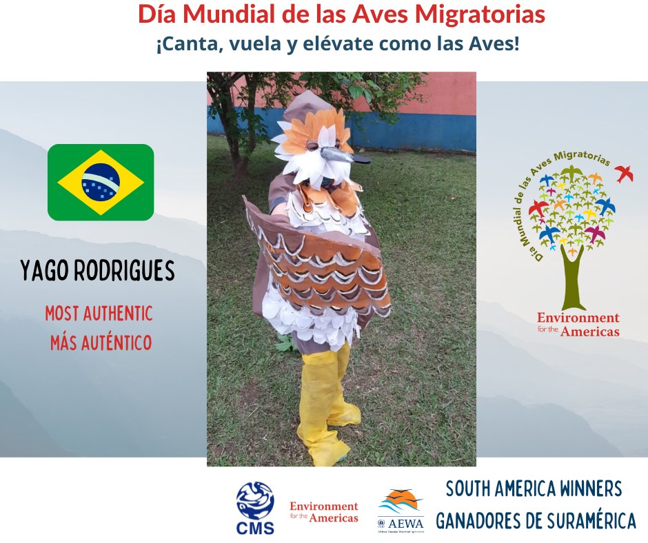 enviroamericas's tweet photo. ¡Les presentamos a los ganadores especiales!
1) El Bartramia longicauda más auténtico
2) El Thalasseus maximus más creativo
3) El ritual de Saakhel, el mejor disfraz en pareja
4) La Setophaga petechia más creativa
#WMBD2021 #WorldMigratoryBirdDay #SingFlySoar #LikeABird #DMAM2021 https://t.co/yTrKWeyfpV