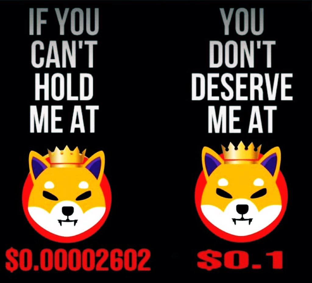 MOMARIO_RYOSHI's tweet photo. @carlmoon #SHIBARMY Remember that time when everyone asked us to sell our #Shib https://t.co/TlDva9jGEm