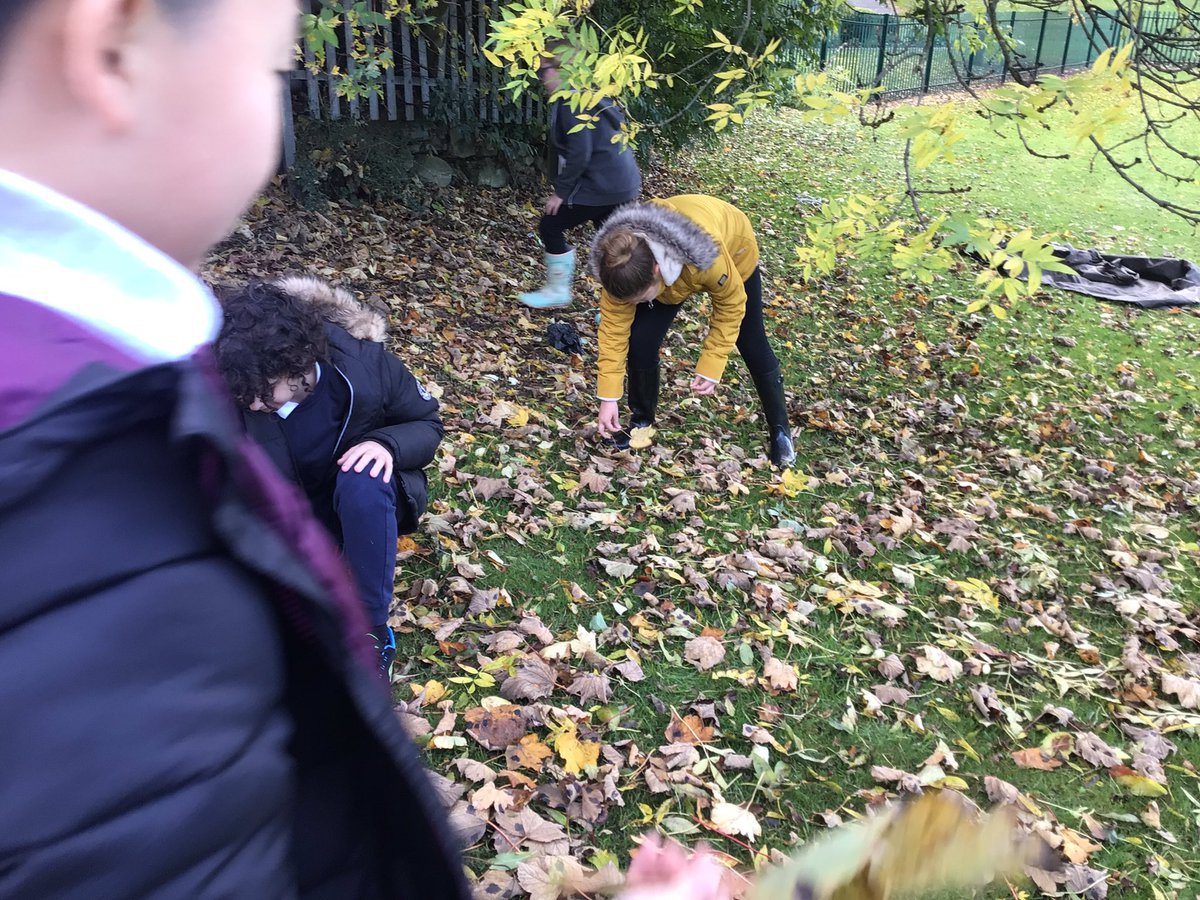 StJosephsCas's tweet photo. Today y6 enjoyed their first session of Forrest School. They talked about fire work safety before collecting leaves around the school field to make their own firework.
#forrestschool https://t.co/XU34V8dJnO