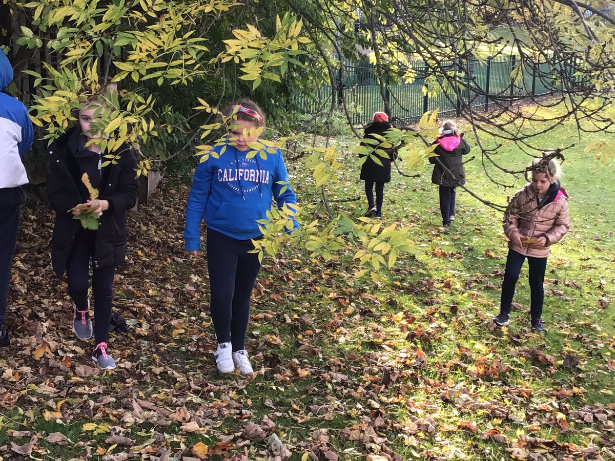 StJosephsCas's tweet photo. Today y4 enjoyed their first session of Forrest School. They talked about fire work safety before collecting leaves around the school field to make their own firework.
#forrestschool https://t.co/9ctly8VKs7
