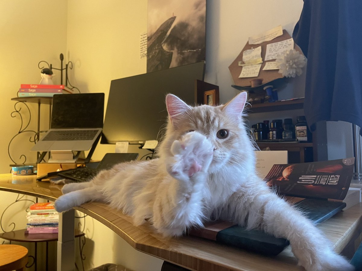 sophiakb_writes's tweet photo. Mailtruck has taken over. I’ve submitted to his will in all things. 

#siberiancat #writingwithcats #catwriter #catauthor #writingcommmunity https://t.co/1BvEXCsW7p