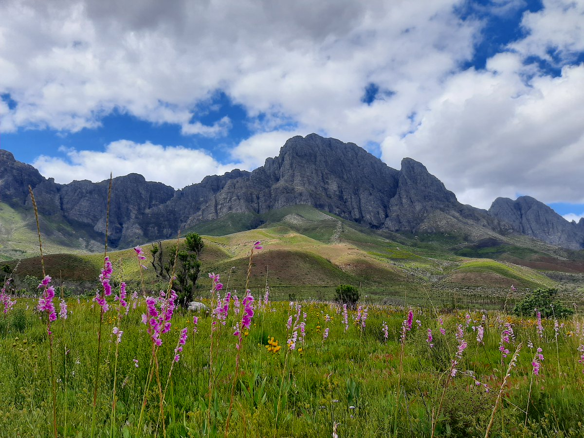Thank you to everyone that contributed to this interesting 3rd day of ISGPB2021. Goodbye until tomorrow. (Jonkershoek valley, Stellenbosch).