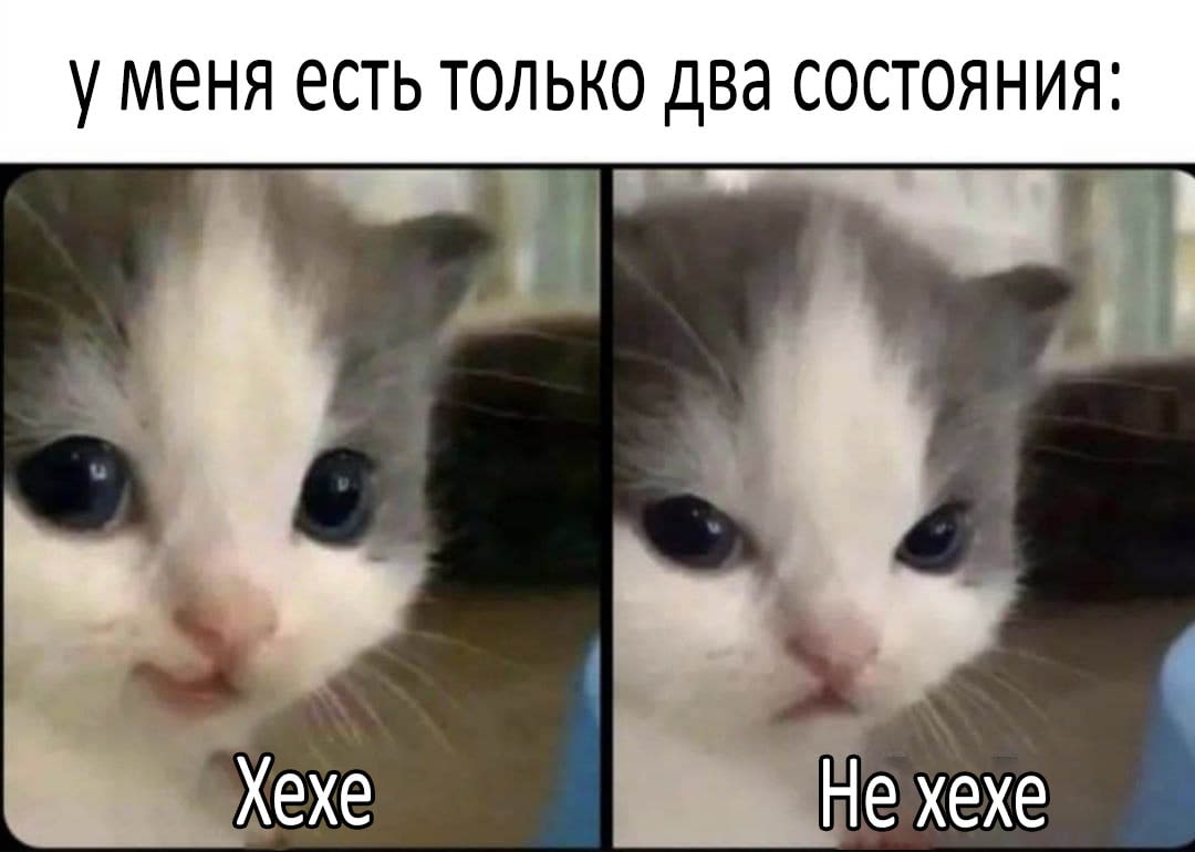 RussianMemesLtd's tweet photo. I have only two states:

hehe

no hehe https://t.co/HxKAr8yhLB