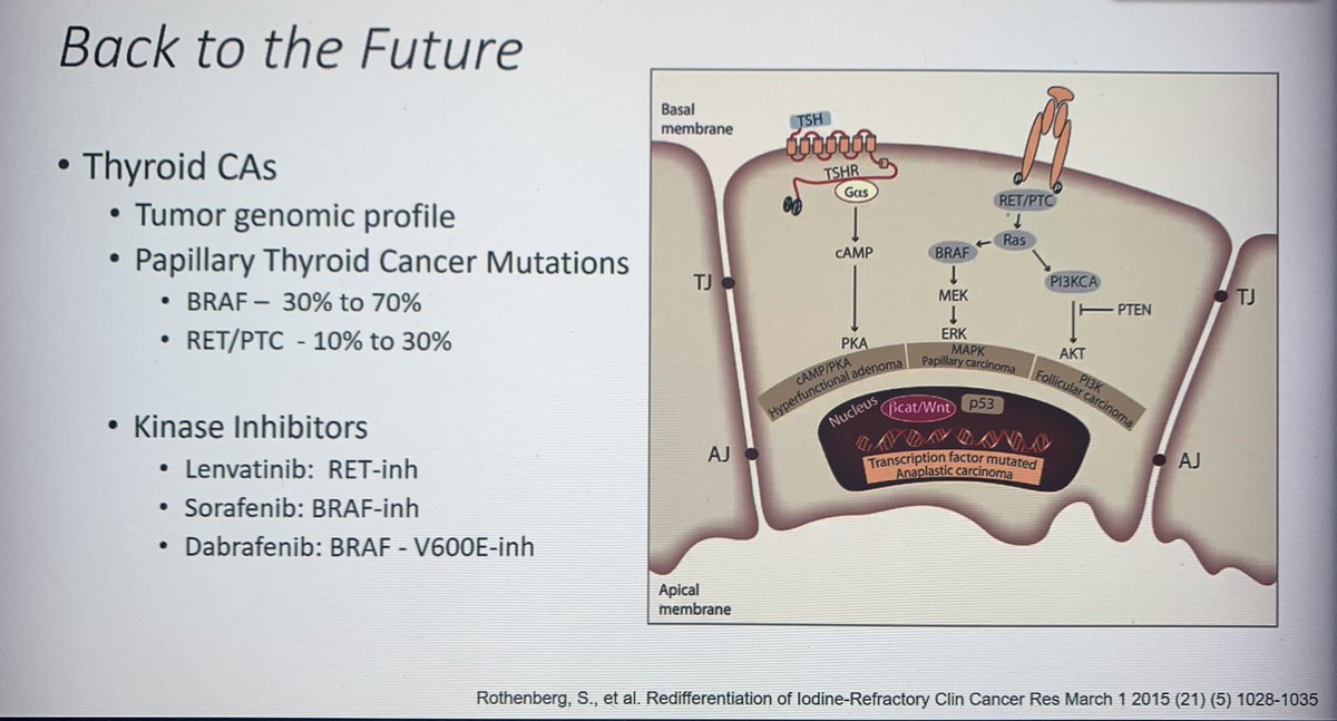 AVenkatesanMD's tweet photo. Enjoyed a very nice talk on #Theranostics by my @MDAndersonNews Nuclear Medicine colleague,Dr. Lesley Flynt @FlyntLesley, at the @GCC_TI Translational Imaging Conference on Future trends in Quantitative and Theranostic Imaging.Congratulations @FlyntLesley.#WomenInSTEM #RadTwitter https://t.co/3KcGxw4oCL