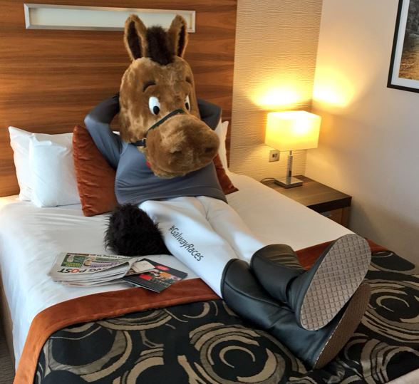 Galway_Races's tweet photo. 💫Believe in Magic. We do 🎅
📸Our mascot Gigi is getting some well earned rest ahead of a very busy Christmas here @Galway_Races as we welcome @elftowngalway &amp; Santa Claus' reindeer Dasher &amp; Dancer to our racecourse
#Excited #FitToBurst 😆
👉Check out https://t.co/SSj85pneZx https://t.co/gApkz9AS8U