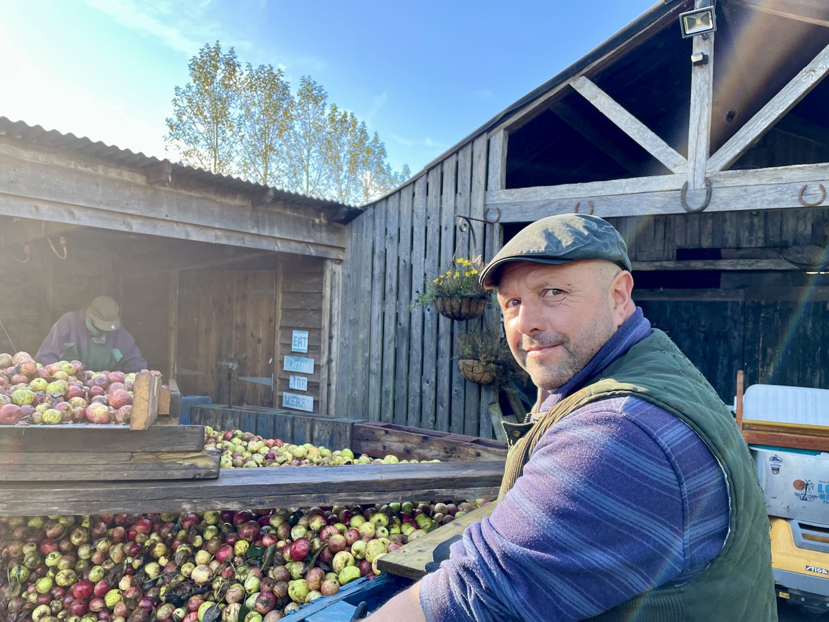 perfect day for filming Mark and the team @Ventons_Cyder pressing the season's delicious Devon apples. Cheers <a href="/MadeinDevon2/">Made in Devon</a>
