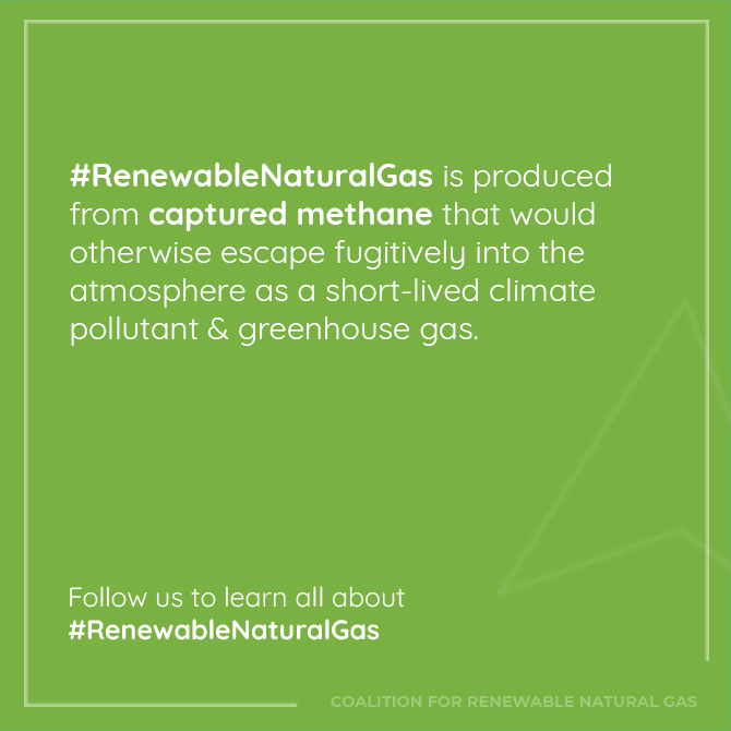 CoalitionForRNG's tweet image. #RenewableNaturalGas is part of the solution.
#Methane can be captured and converted to #RNG, reducing GHG emissions.

#CleanEnergy 
#COP26 #GlobalMethanePledge 
Learn more: rngcoalition.com/about-rng