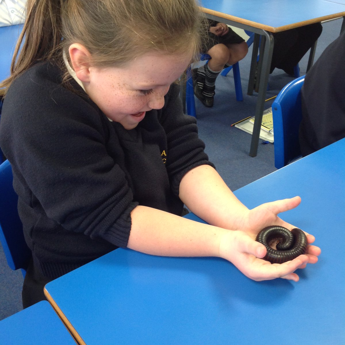 Bayside_Academy's tweet photo. Year 2 had a fantastic morning with the #crazycreatures, discovering the groups of minibeasts.
The favourite was definitely, Millie the millipede! https://t.co/LVUgfN7N3u