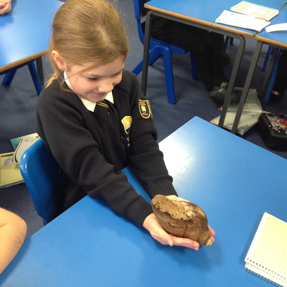 Bayside_Academy's tweet photo. Year 2 had a fantastic morning with the #crazycreatures, discovering the groups of minibeasts.
The favourite was definitely, Millie the millipede! https://t.co/LVUgfN7N3u