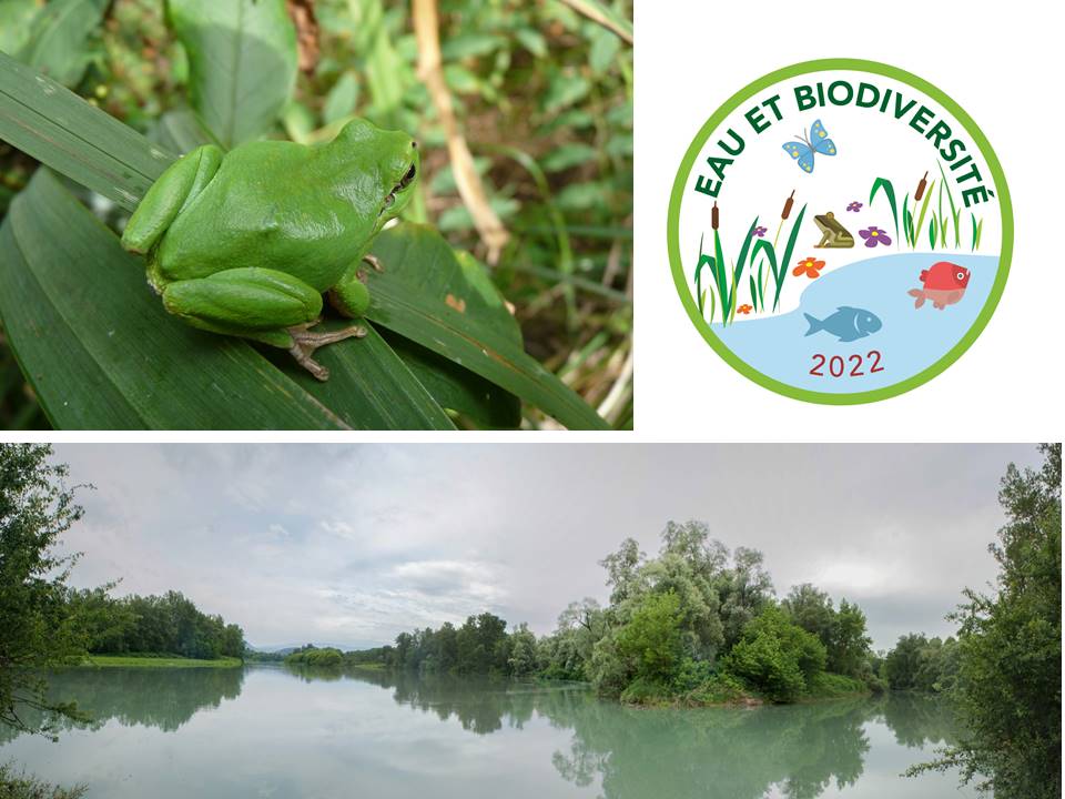 SauvonsLeau's tweet photo. L’agence de l’eau ouvre un nouvel appel à projets de 10 millions d’euros en faveur de la biodiversité. Les lauréats verront leurs projets financés à un taux pouvant aller jusqu’à 70 %. Candidatez avant le 3⃣0⃣ avril 2⃣0⃣2⃣2⃣ https://t.co/usEvxoGGV6 https://t.co/KI5EvFettc