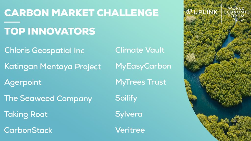 Congratulations to the winners of our Carbon Market Challenge! @agerpoint @ClimateVault @katinganmentaya @MyEasyFarm @MyTreesTrust @SylveraCarbon @TakingRoot @TheSeaweedCo @veritree_ 

The challenge was led by @1t_org and funded by @salesforce 
#COP26 #CarbonMarkets