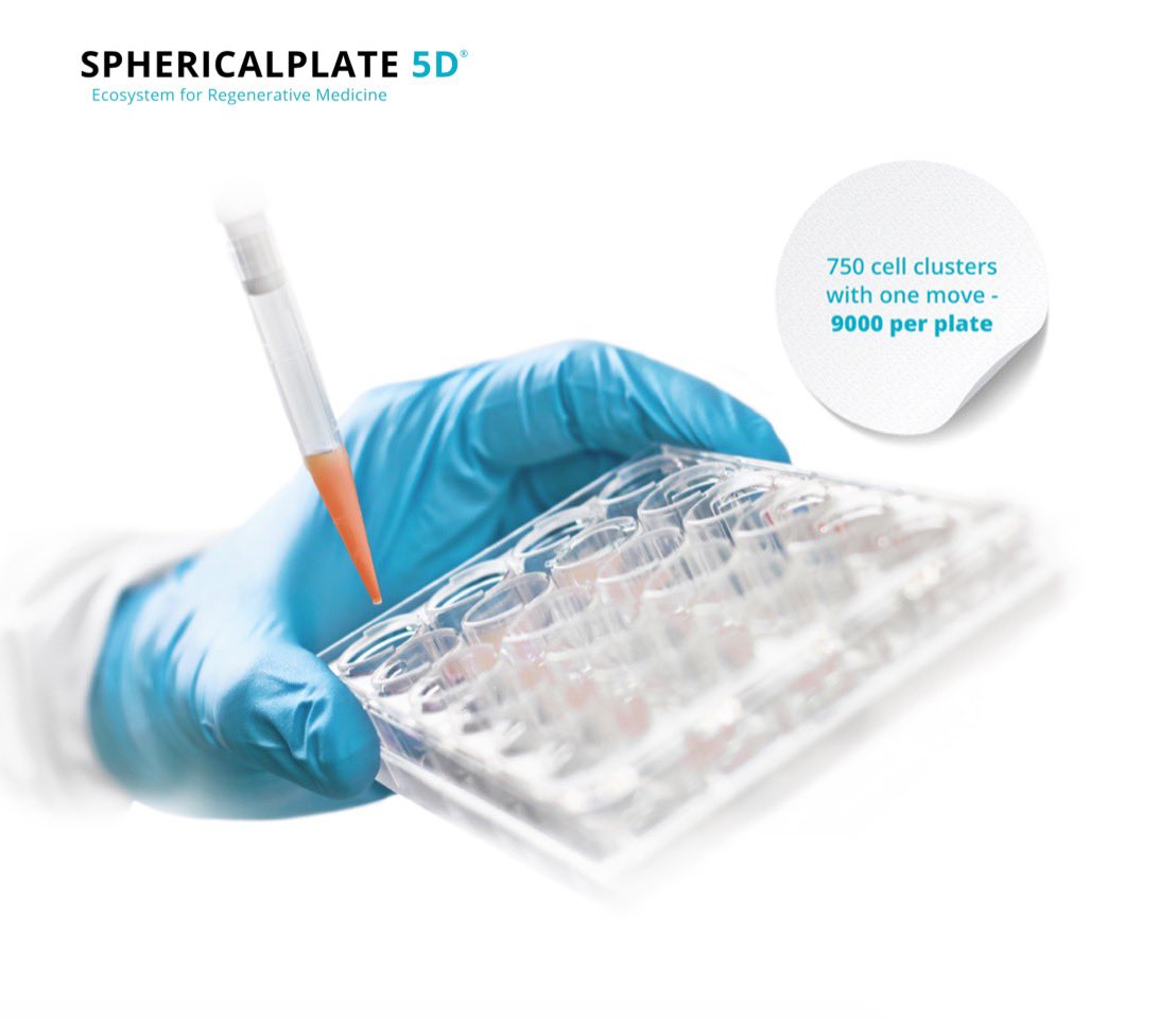 kugelmeiers_com's tweet photo. Experience standardized, uniform, size controlled cell clusters/spheroids in large scale with our #sp5d &amp; TURN PIPETTING INTO PUBLISHING in a quick and easy manner. ➡️https://t.co/Uy7FRyYm5w
#3dcellculture #technology #spheroids #spheroid #science #scienceiscool #kugelmeiers https://t.co/a8E9khBCQO