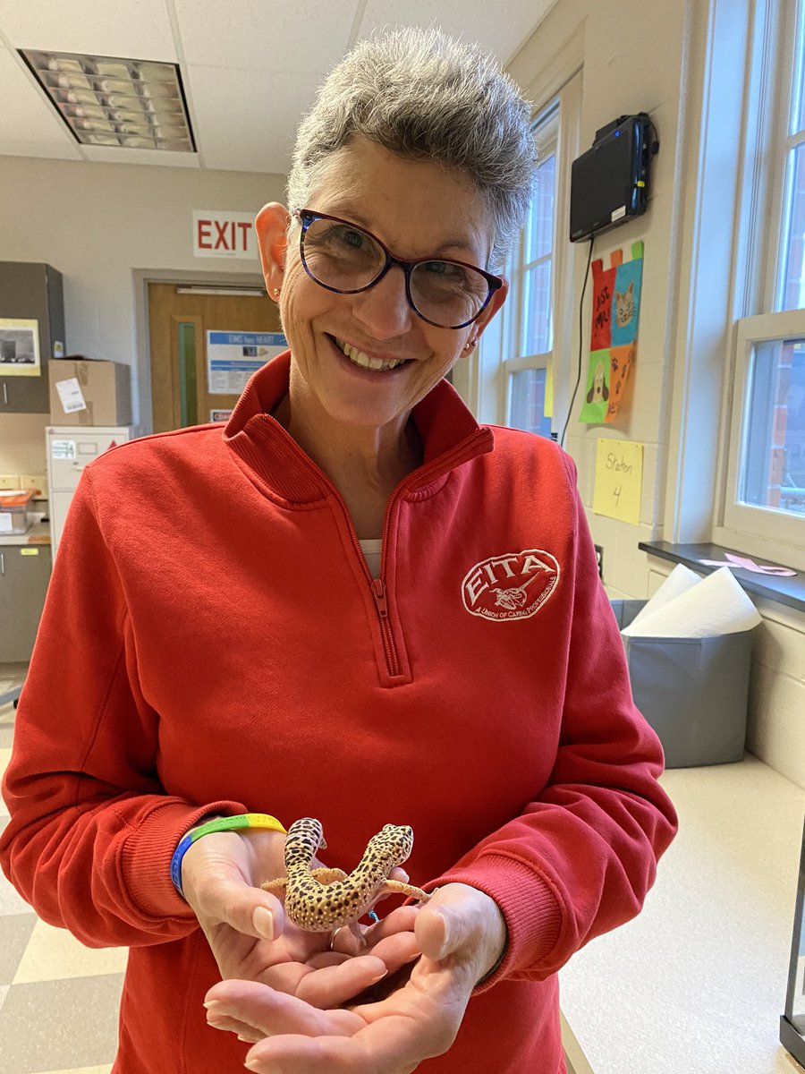 LibraryGeek678's tweet photo. Spent some time admiring @MelissaHutto2’s girls: Sophia, Blanche, Rose, and Dorothy. 🦎 My goal is to hold them by the end of the year…stay tuned! 😬 #imachicken https://t.co/HngwbiFi14