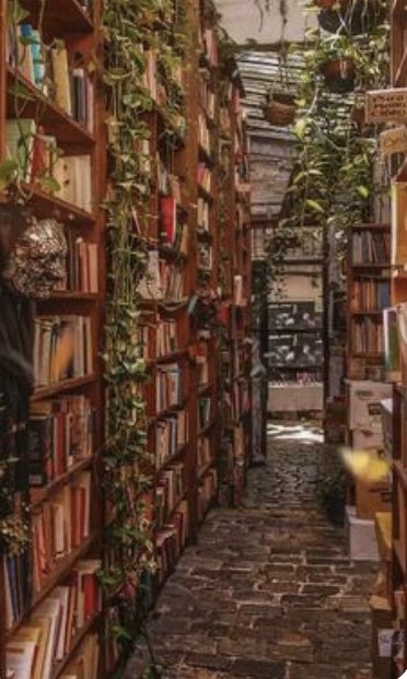 plants covering the bookshelves 🪴📚