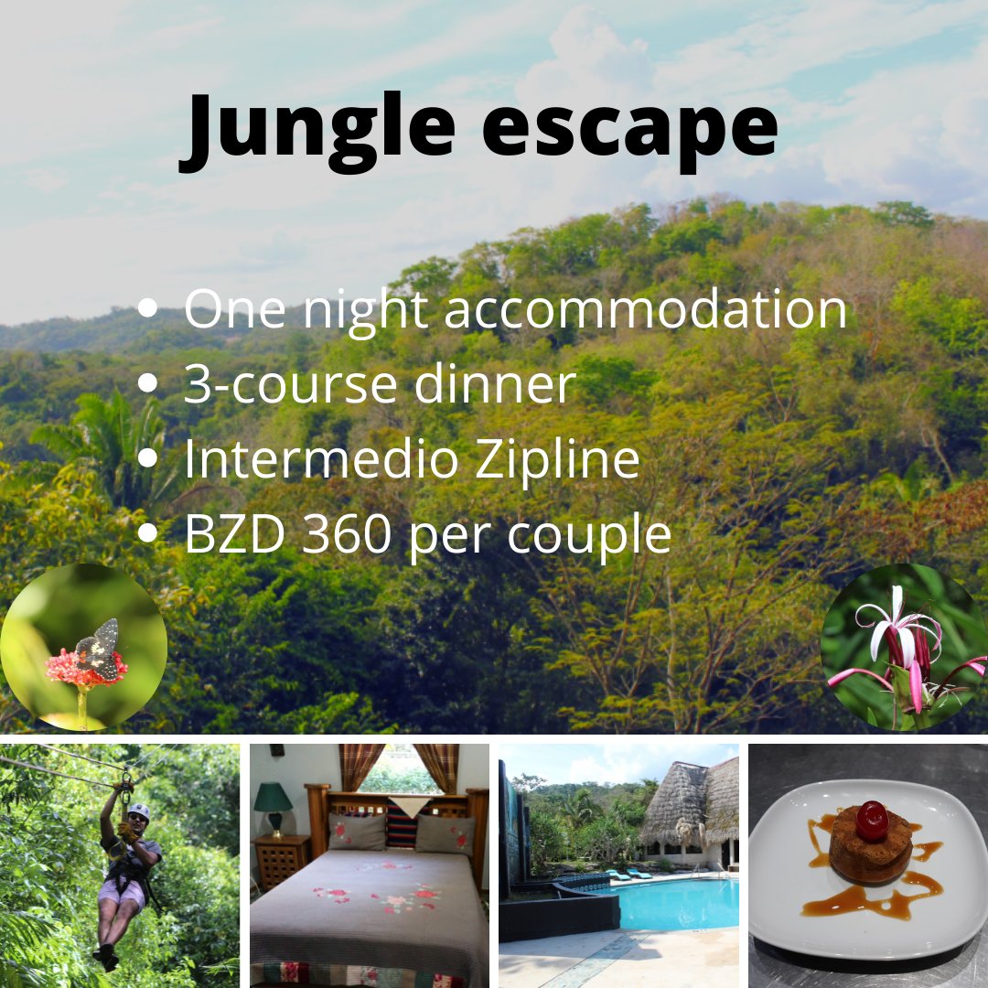 CalicoJacksReso's tweet photo. ⚠️⚠️Belizeans⚠️⚠️
Escape to the jungle for a relaxing overnight 🤩
To book contact us via whatsapp at 614-2040. 
#calico_jacks
#relaxingtime https://t.co/cIPIK9dXua