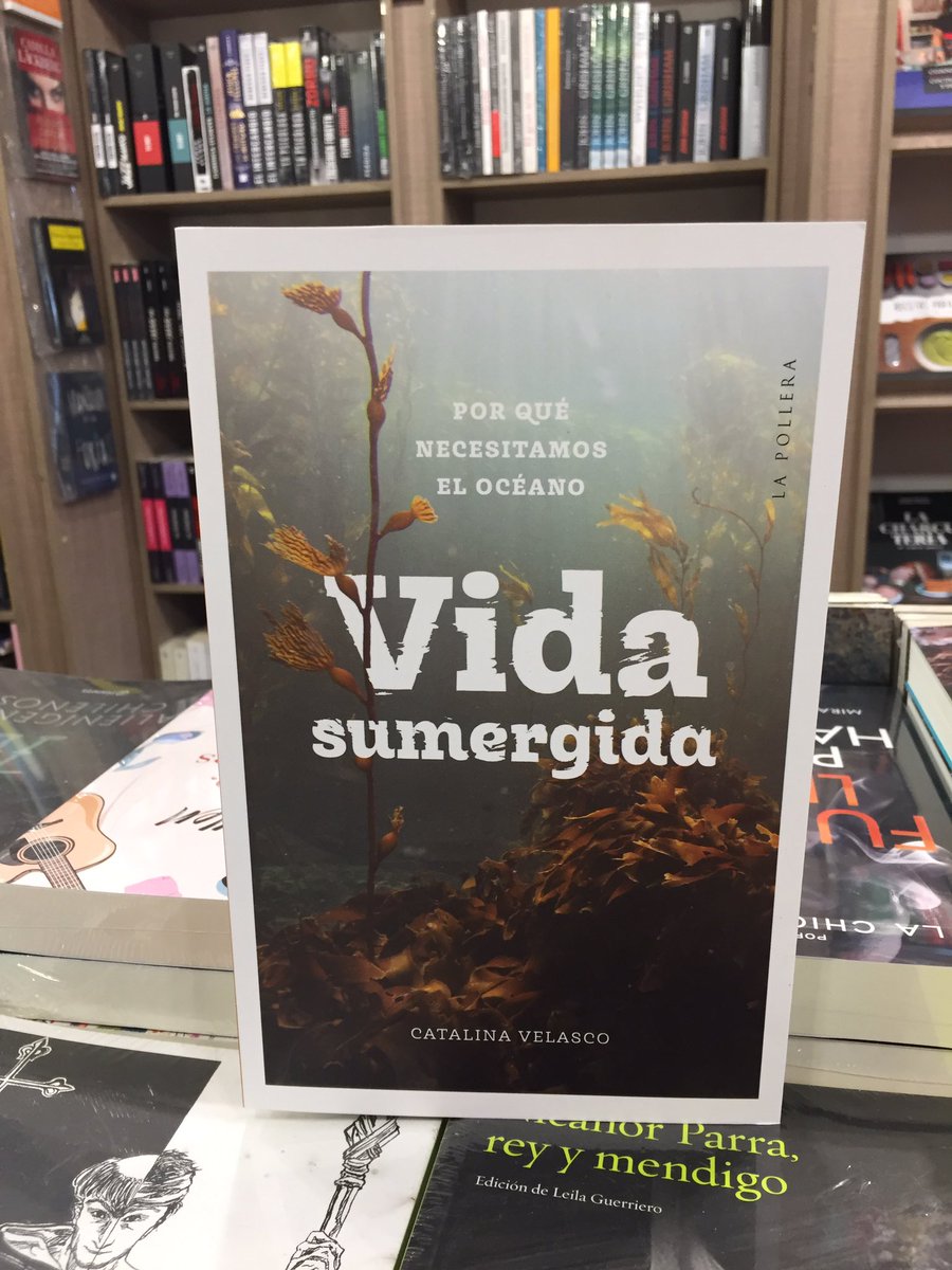 QueLeoForestal's tweet photo. Apto para todos @Catasubmarina nos presenta un libro para conocer, respetar y amar el mar. #VidaSumergida publicado por @lapollera ya está disponible en el forestal y también online en nuestro sitio web https://t.co/U3xfjxm4CD con despacho.
Ven al forestal hay un libro para ti. https://t.co/cxrBnAmaLY