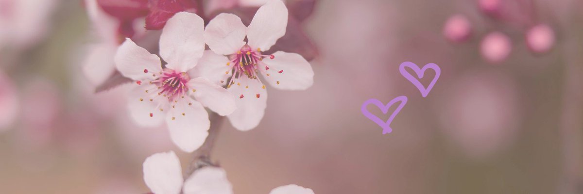 v | you were always my secret tweet media