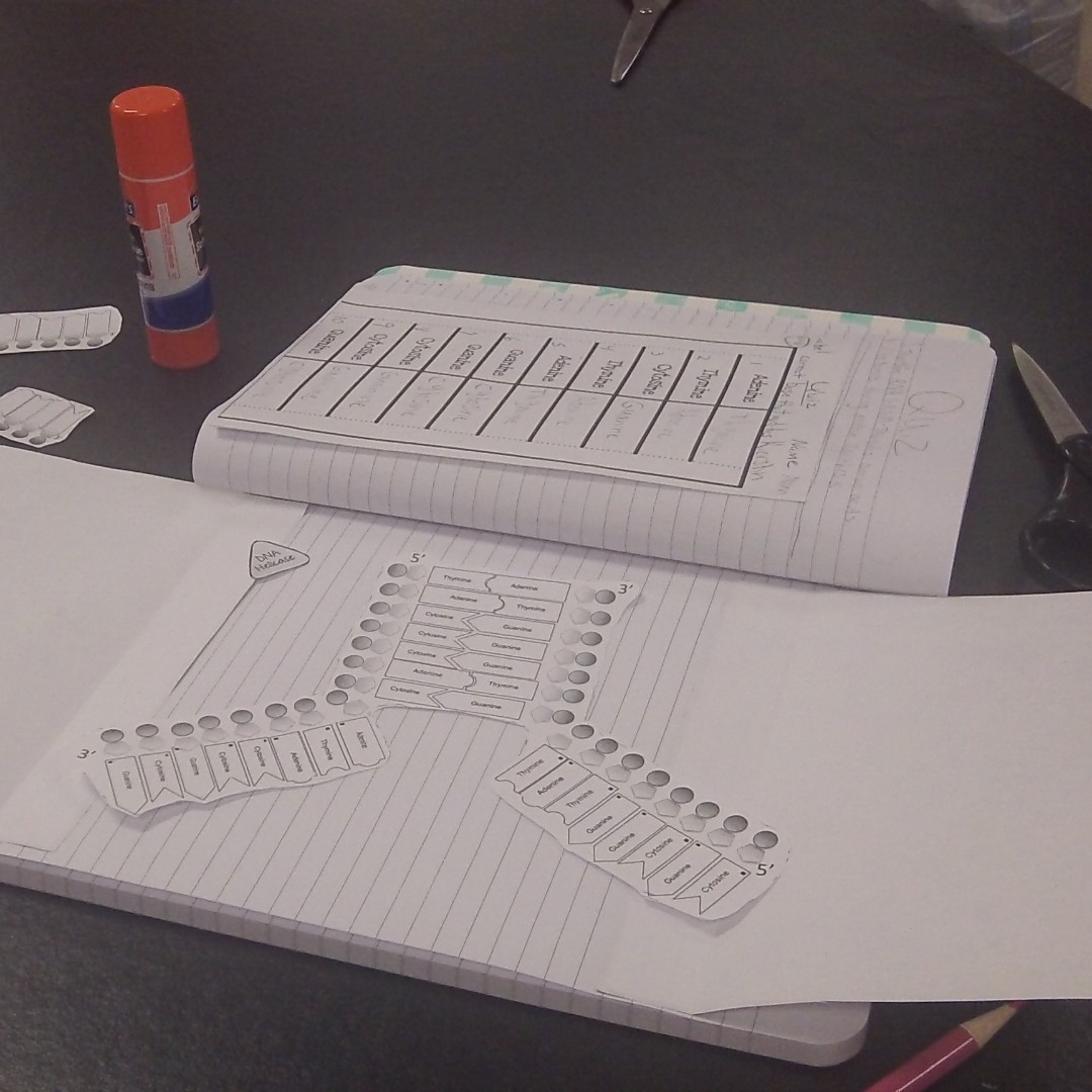 ReedsSpringHS's tweet photo. Student's in Ms. Wilson's #Biology class are learning about DNA replication. #TheoryTuesday #WolvesAtWork #AcademicExcellence #HighClassScience #ONEwiththePACK https://t.co/VSXhXZT0XR