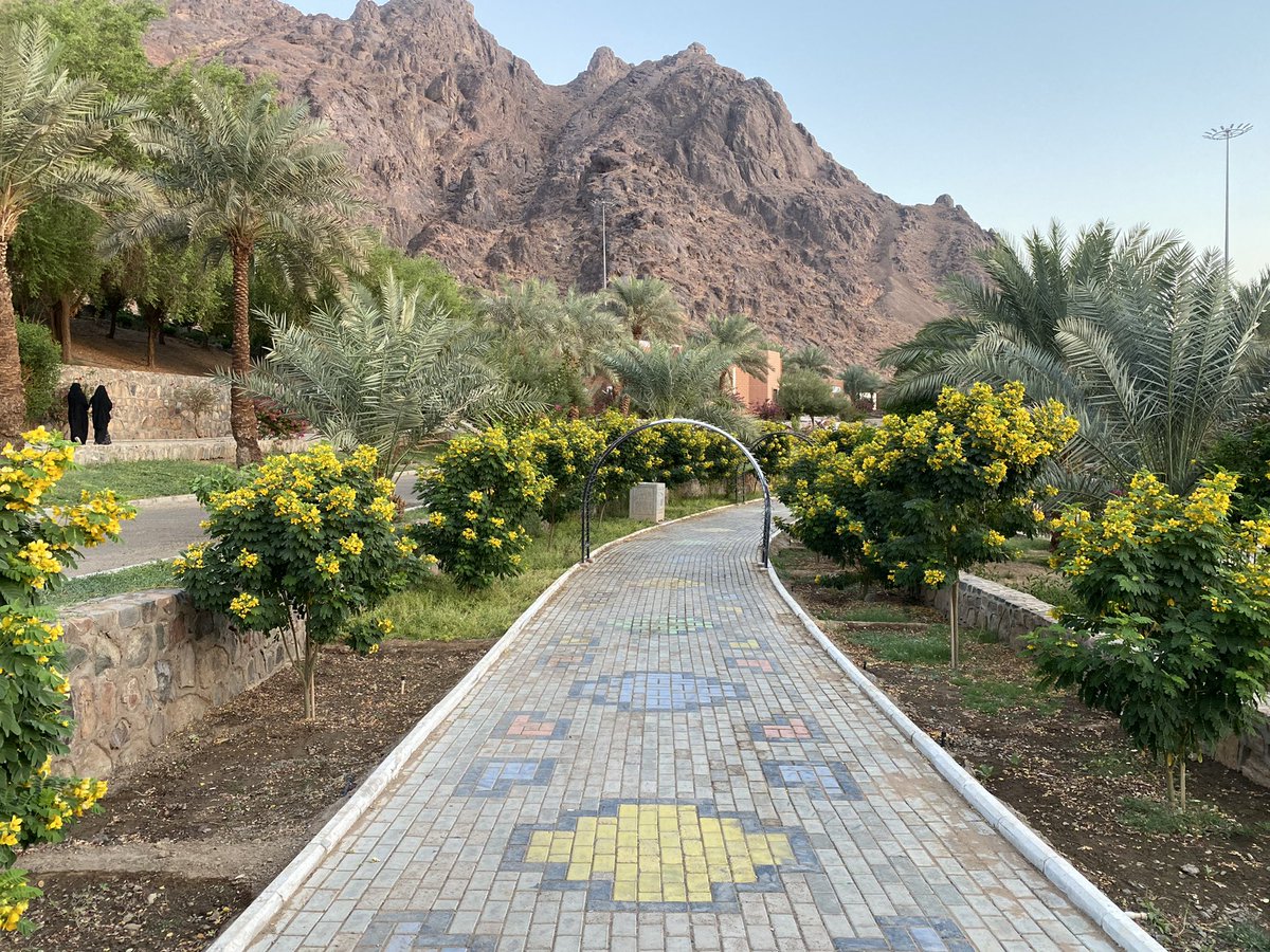 مرحبا رياحين

 حديقة الأمير محمد بن عبدالعزيز بـ #المدينة_المنورة حديقة جميلة أنصح بزيارتها تتميز بموقعها المميز بجوار جبل أحد وبتنوع أشجارها 

📷 صوره من الحديقة تظهر فيها ممرات المشاة وأشجار كاسيا جلوكا الصفراء وجبل أحد التاريخي