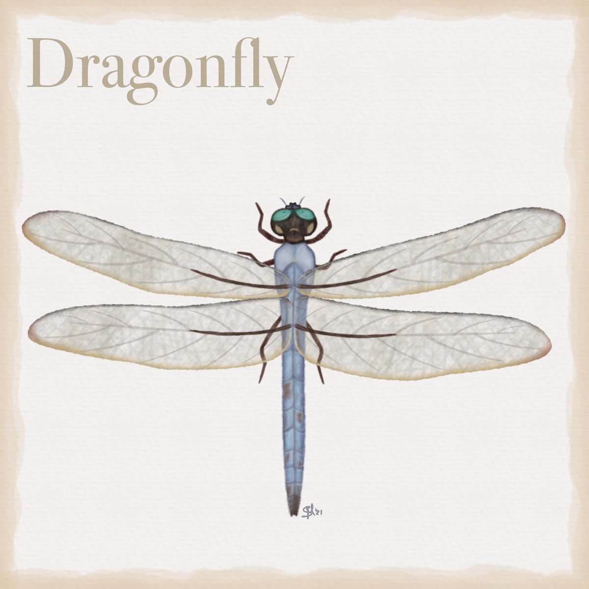 Lioeles's tweet photo. “Dragonfly” - #AffinityDesigner #iPad #vectorillustration.

#multimediaartist, #inessenziale, #digitaldrawings, #digitalart #dragonfly, #simonaminniti, #multimedia, #illustration, #digitalpainting, #vectorart, #digitalartist, #drawings, #painting, #vectordrawings, #ipaddrawings https://t.co/404D2VmE5H