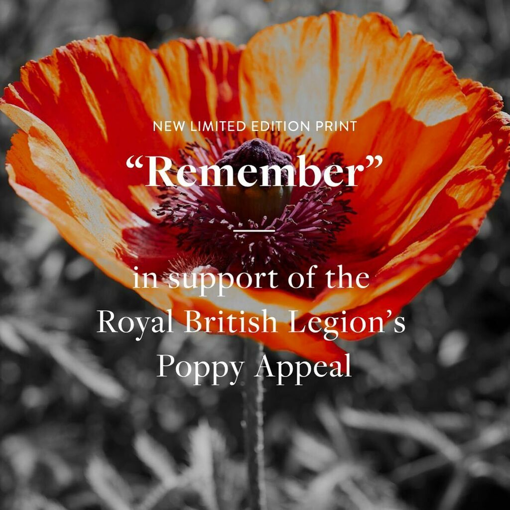 JonKempner's tweet photo. I am delighted to launch my new limited edition print, “Remember” in support of the Royal British Legion’s Poppy Appeal.
£10 from each A4 print sold and £15 from each A3 print sold from this limited edition will be donated to the Poppy Appeal charity.
Fu… https://t.co/zuvZTDg3xE https://t.co/IagzVsQgbc