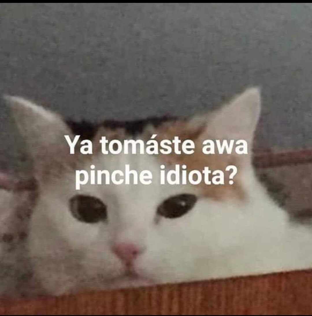 FDMx5CvVcAEkFJp.jpg