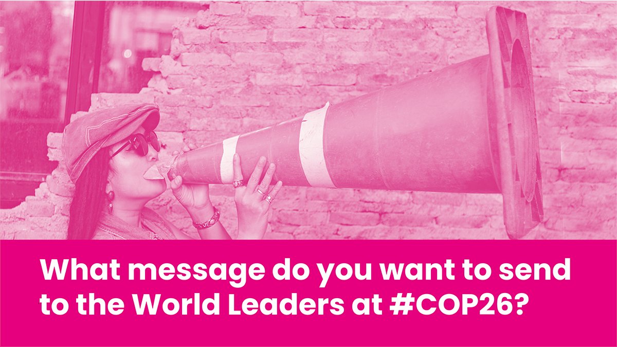 Story:Web tweet media