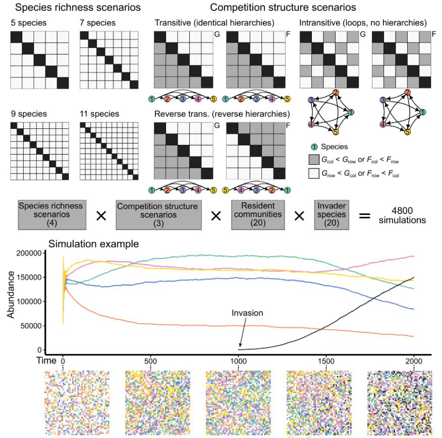 Oikos_Journal's tweet photo. Interaction network structure and spatial patterns influence invasiveness and invasibility in a stochastic model of plant communities

https://t.co/dg7ZA19rsu
@WileyEcolEvol @NordicOikos #ecology #competition #dispersal #speciesrichness #facilitation #fecundity #species https://t.co/DCShqhmKNz
