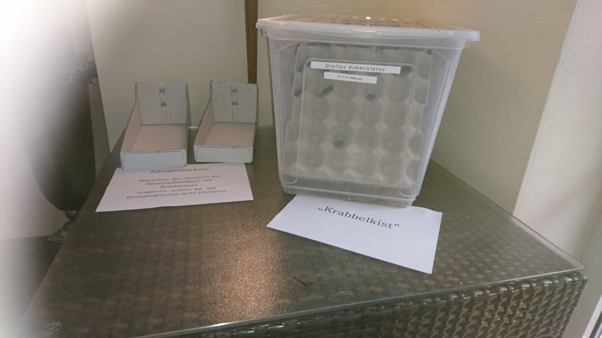 ... Und zum Ende waren die Cracker schnell weg 😁