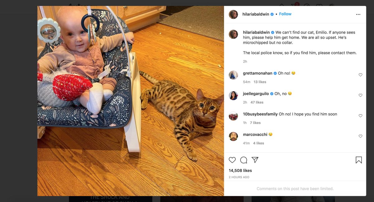 RabbleRouserPod's tweet photo. Hilaria Baldwin's grift knows no bounds! Their cat is named "Emilio" 🤣 The Baldwinitos may have lost a member of el menaje. #HilariaBaldwin #AlecBaldwin #FakeSpanish #Baldwinitos https://t.co/YVYIhvgeti