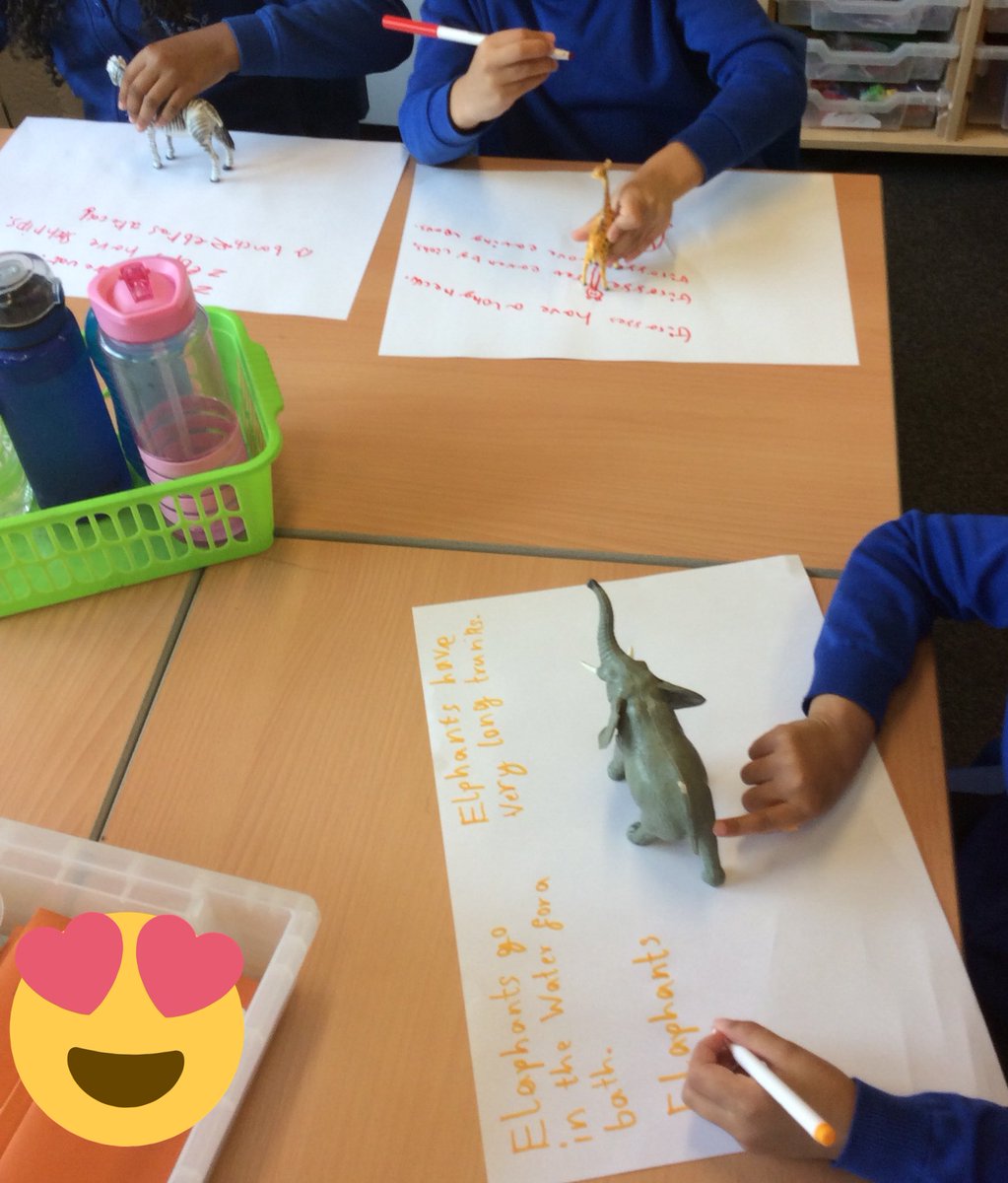 BedfordYear2's tweet photo. Sticky learning in action this afternoon in 2S, can we transfer what we have learnt about one animal to write facts about another one? Can we remember the scientific vocabulary we have been learning? #proud #greatfirstdayback @BedfordPrimary https://t.co/wf9dofgSW6