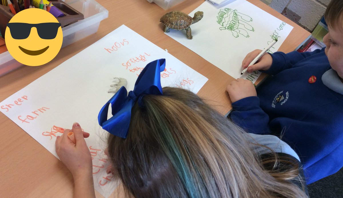 BedfordYear2's tweet photo. Sticky learning in action this afternoon in 2S, can we transfer what we have learnt about one animal to write facts about another one? Can we remember the scientific vocabulary we have been learning? #proud #greatfirstdayback @BedfordPrimary https://t.co/wf9dofgSW6