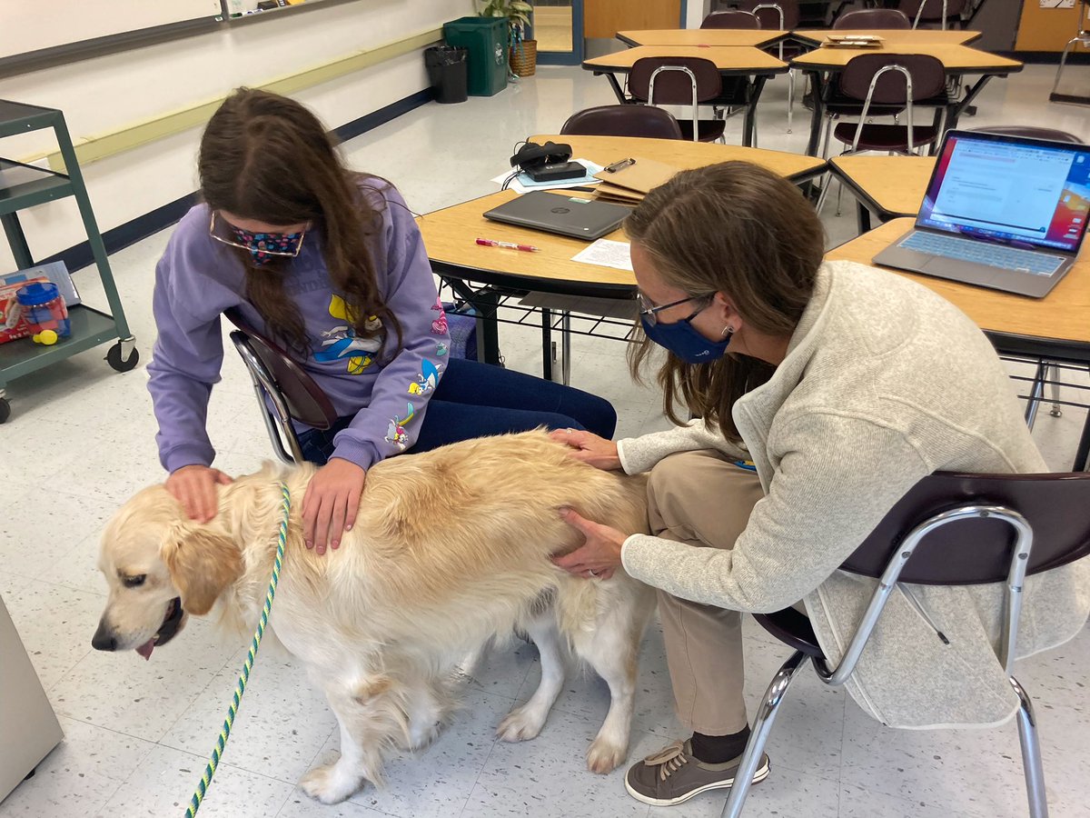 East Penn Therapy Dogs tweet media