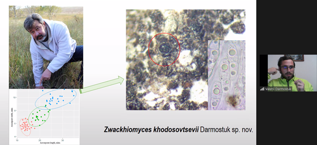 alichenology's tweet photo. Tonight 1st Lichenicolous fungi chat meeting organised by @FayrnHawk @BLSlichens. Nice pictures @chriscant (Muellerella ventosicola on Ophioparma ventosa) and lichenicolous fungi on Verrucaria @VDarmostuk Thank you very much for this opportunity to learn with @BLSlichens !!! https://t.co/NMPL2zPNhK