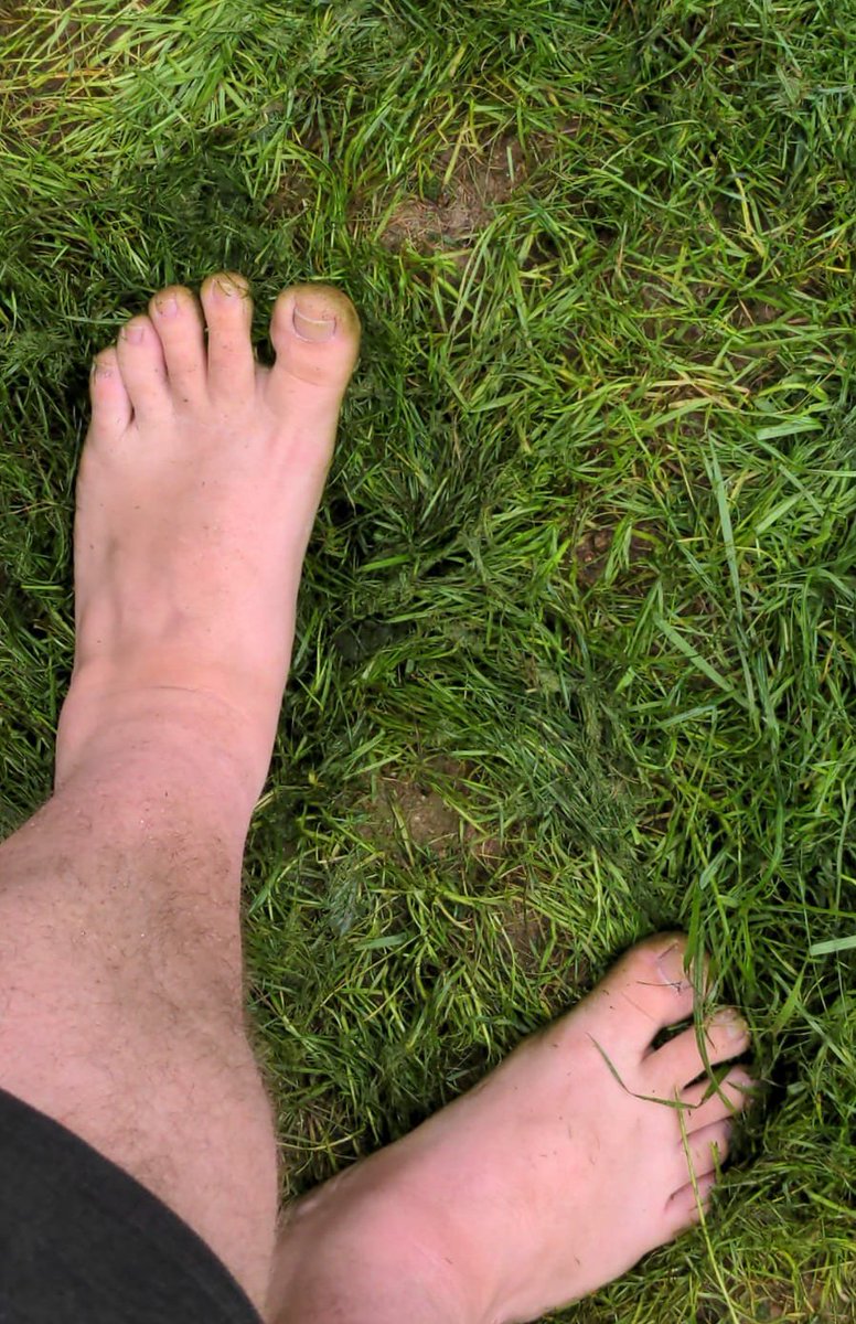pitsnbitsnfeet's tweet photo. Daddy needs a good boy to clean his feet after some barefoot gardening 
#chubfeet #bearfeet #daddyfeet #malefeer #dirtymalefeet #ditydaddyfeet https://t.co/Rqb21fIC0x