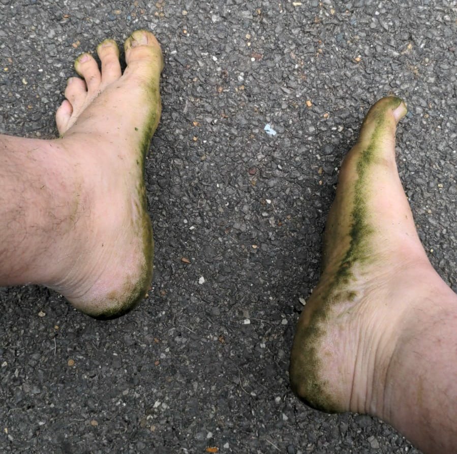 pitsnbitsnfeet's tweet photo. Daddy needs a good boy to clean his feet after some barefoot gardening 
#chubfeet #bearfeet #daddyfeet #malefeer #dirtymalefeet #ditydaddyfeet https://t.co/Rqb21fIC0x