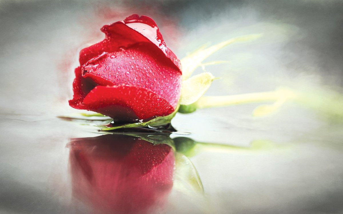 Любовь (мухаббат)
fgulen.com/ru/works-ru/ie…