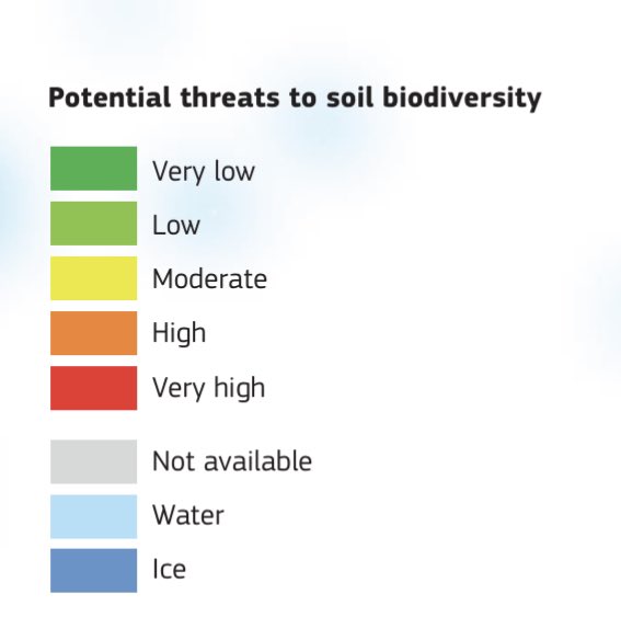 Soil Biodiversity tweet media