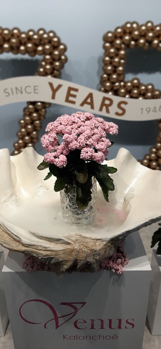 Slijkermankalan's tweet photo. We are ready to meet again at the @RFHTradeFair in Aalsmeer. 
We would like to welcome you at stand D.1. Because we also #celebrate our #75th anniversary we have a special treat for you.
To be able to visit the Trade Fair, you need to register. https://t.co/p45ZDUs89u https://t.co/WsSYP6oe4F