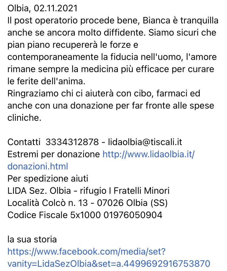 LidaSezOlbia's tweet image. Il #postoperatorio procede bene, #Bianca è tranquilla anche se ancora molto diffidente.
Ringraziamo chi ci aiuterà con cibo, farmaci ed anche con una #donazione per far fronte alle #spesecliniche.
lidaolbia.it/donazioni.html

la sua storia
facebook.com/media/set?vani…
