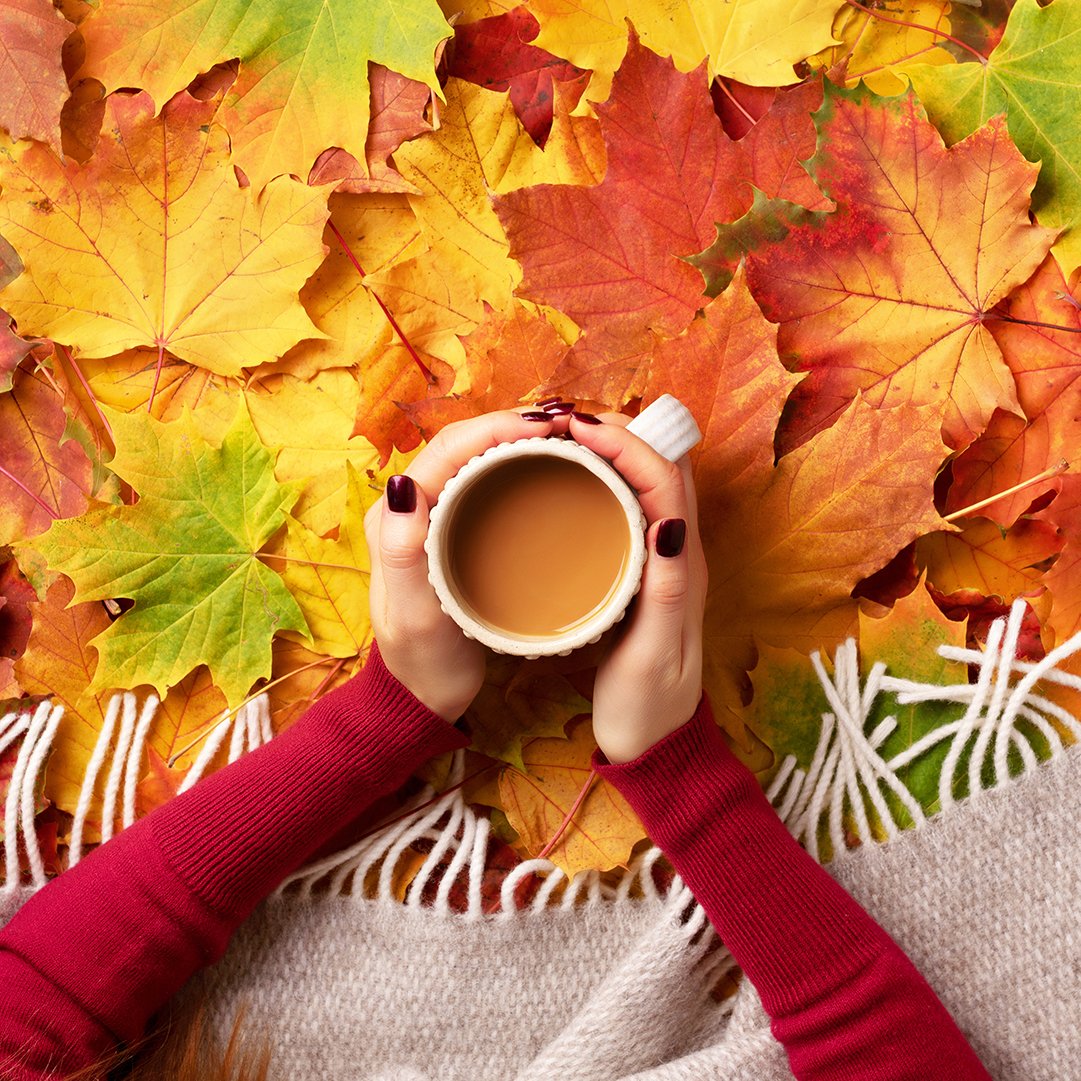 MrCaseDelivery's tweet image. Cozy up to our November Deals + New Arrivals! Save up to 15% on hot beverages, snacks and more! Shop our November Deals now: mrcase.com/special-produc…

#MrCaseDelivery #mrcase #novemberdeals #hotbeverages #hotchocolateseason #coffeeandtea