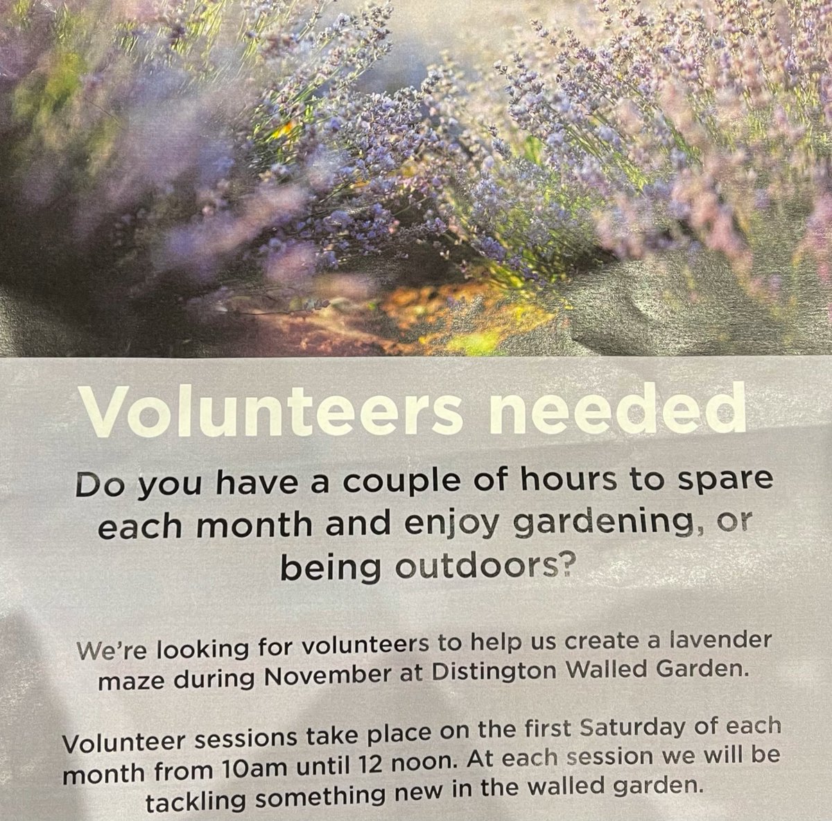 ❌❌ VOLUNTEERS NEEDED ❌❌

Do you have a couple of hours to spare each month and enjoy gardening, or being outdoors?

Disington Walled Garden are looking for volunteers to help create a lavender maze!!

More details below. <a href="/copelandbc/">Copeland Council</a> <a href="/CopelandMayor/">CopelandMayor</a> <a href="/thecumbriaguide/">The Cumbria Guide</a>