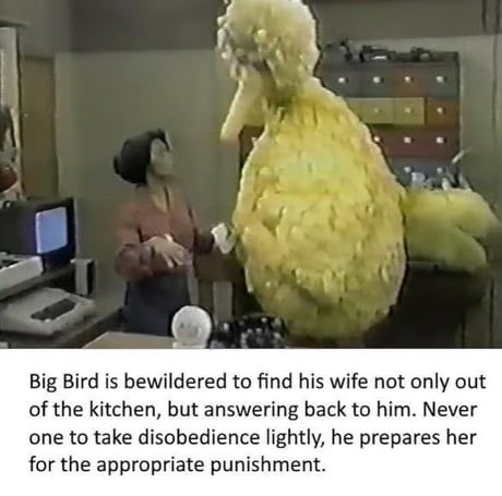 Big Bird memes were wild 🤣💀