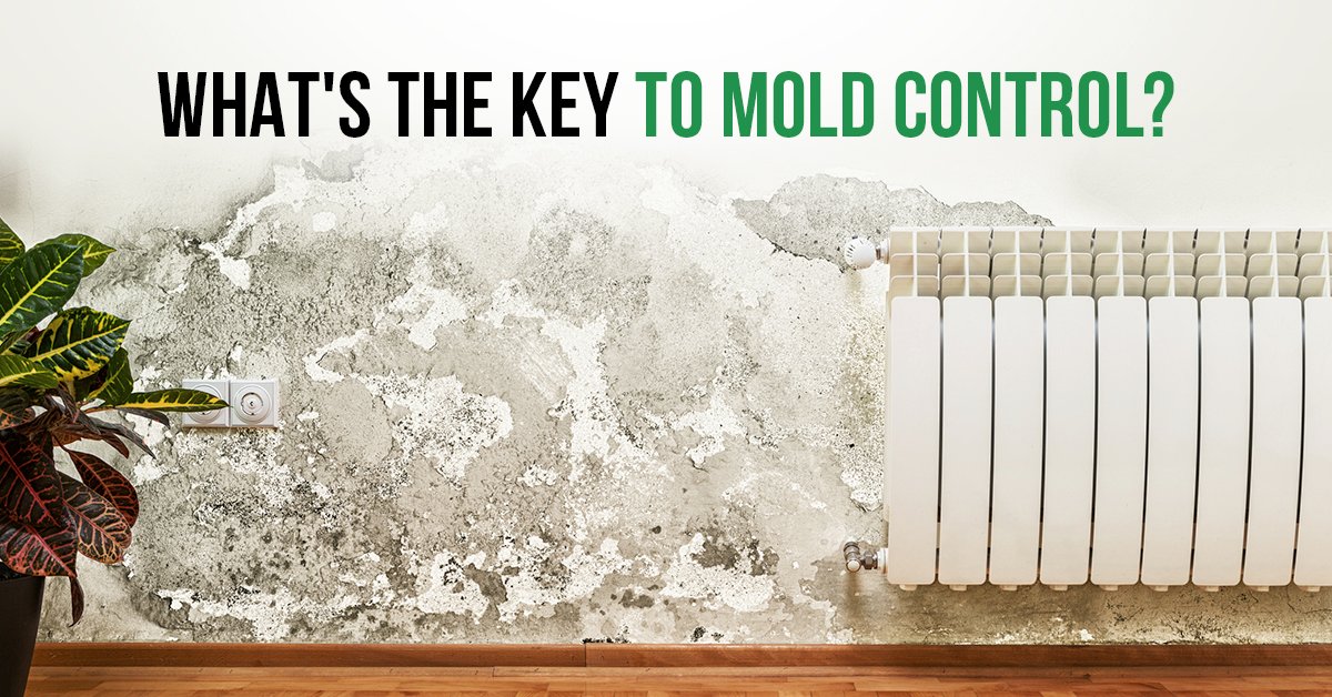 GerminatorInc's tweet image. According to the @EPA, &quot;the key to #MoldControl is moisture control.&quot; #Mold can grow within 24 to 48 hours after a water damage event. So, make sure you dry water-damaged items and areas of your home or business within that 24 to 48 hours window to prevent mold growth.