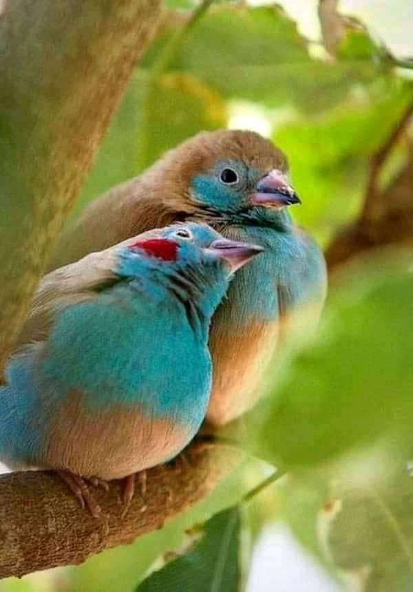 YILDIRIM_1881's tweet photo. #iyigeceler #yeryüzü
Engelsiz bir dünyaya uyanmak üzere.
#mutluuykular https://t.co/gTJKlKUf0H
